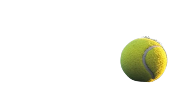 Athletic asset details composition